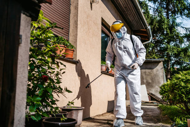 Best Insect Control  in Bennettsville, SC