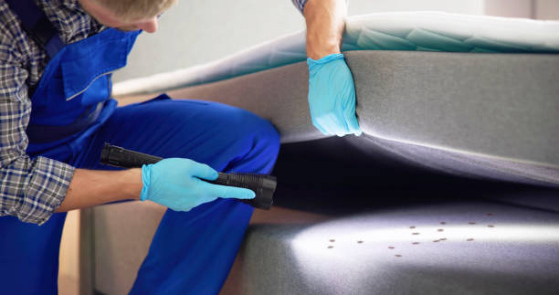 Pest Control for Restaurants in Bennettsville, SC