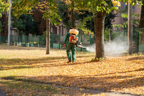 Insect Control in Bennettsville, SC